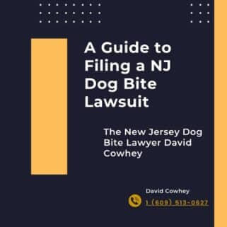 Filing a NJ Dog Bite Lawsuit