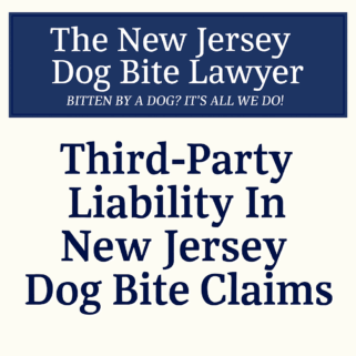 Third Party Liability in New Jersey Dog Bite Claims - Blog Post Title Card