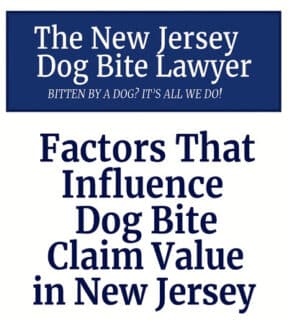 Dog Bite Claim Value New Jersey