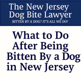 Bitten By a Dog New Jersey - Blog Photo