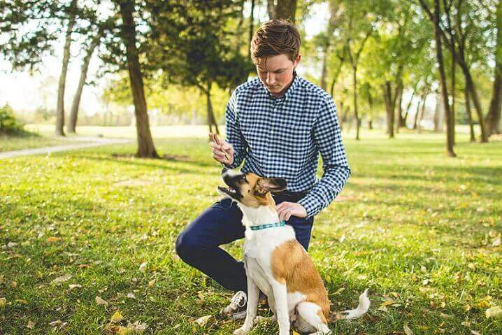 teenager training do to prevent dog bites