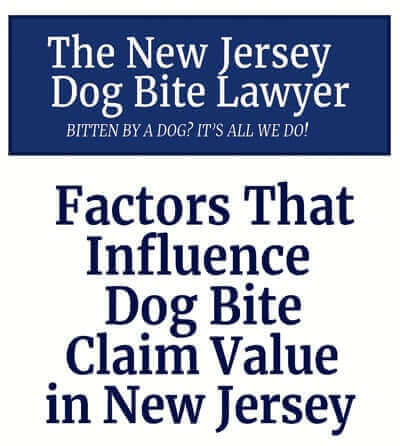 Dog Bite Claim Value New Jersey