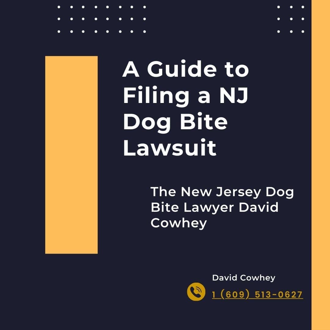 Filing a NJ Dog Bite Lawsuit