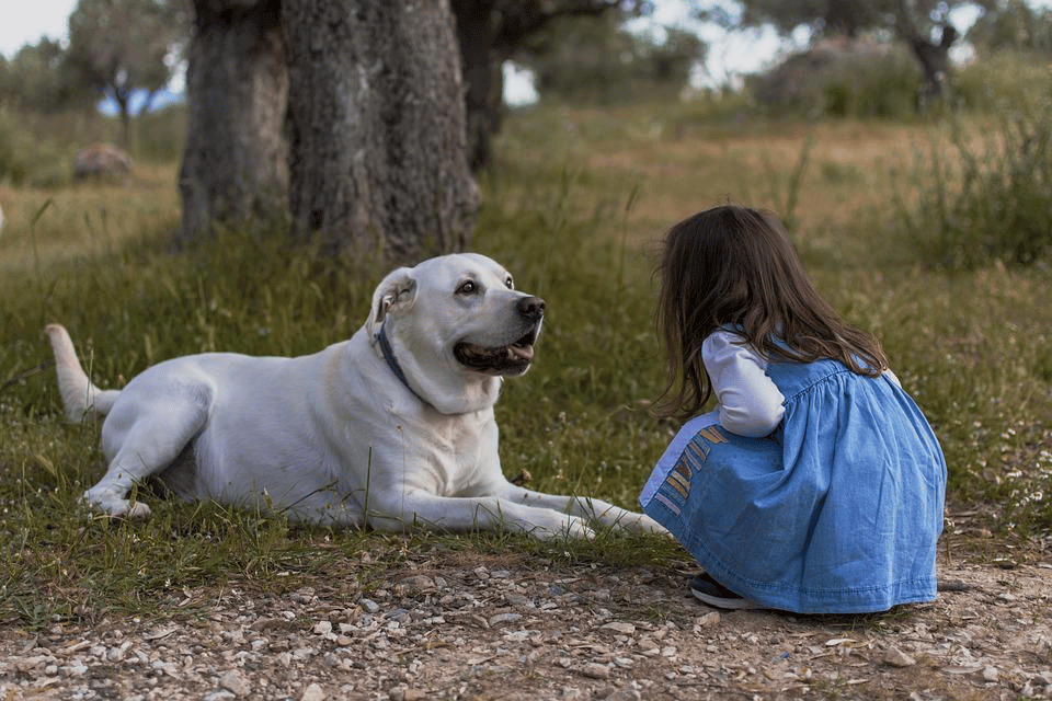 dog sitting with child in field