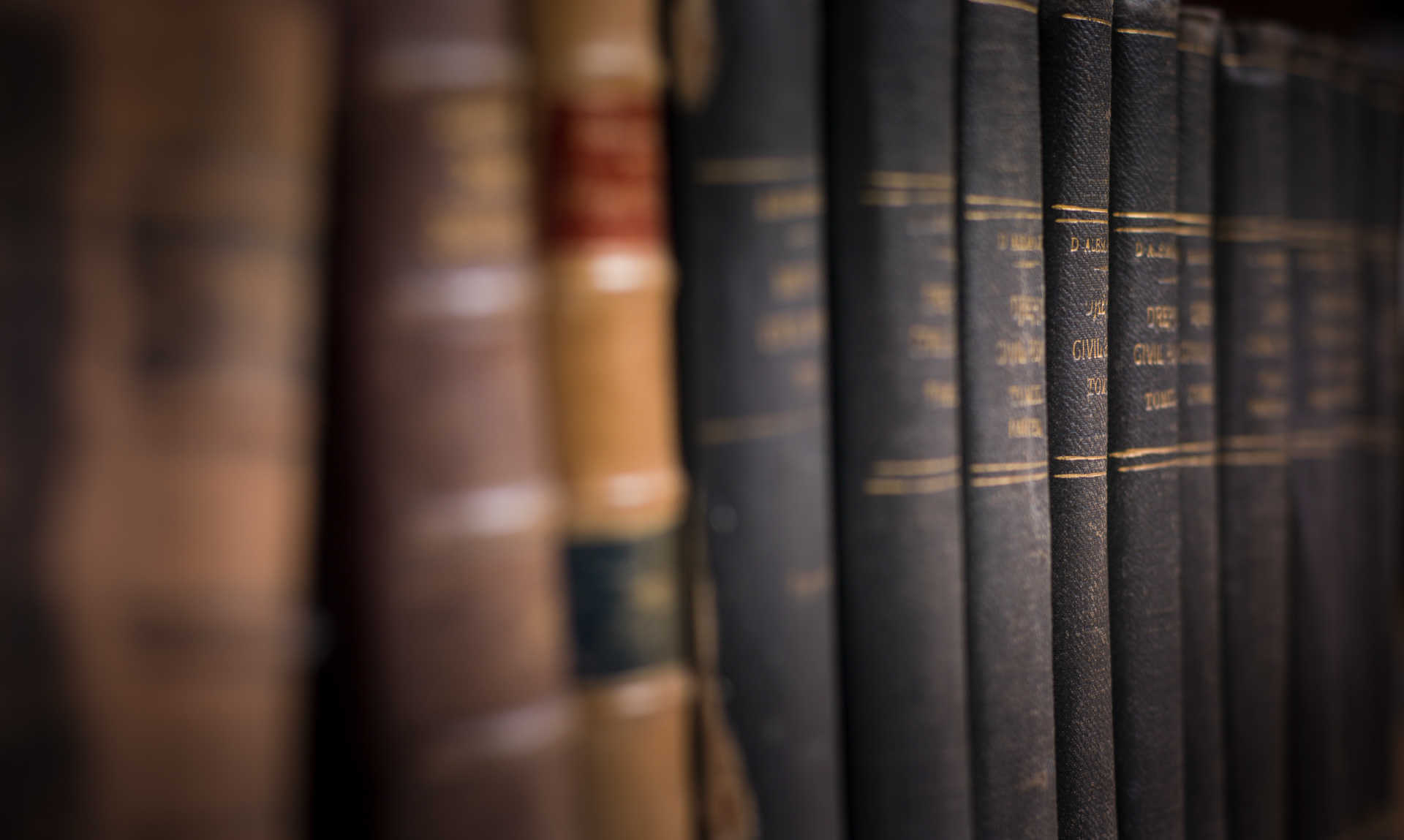 David J. Cowhey The New Jersey Dog Bite Lawyer - Lawyer Books