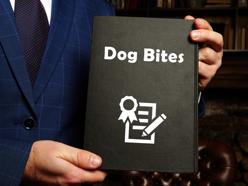 The Top 5 Things to Know Before Hiring a Dog Bite Lawyer in New Jersey