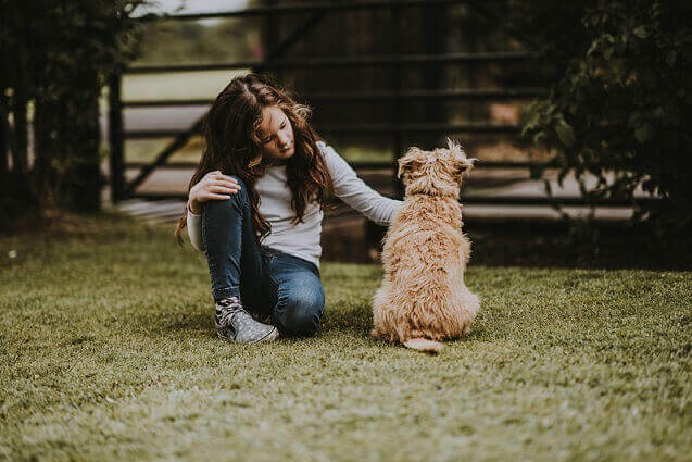 child reaching out to pet a dog after a dog bite