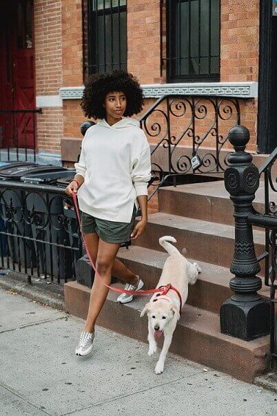 tenant walking dog