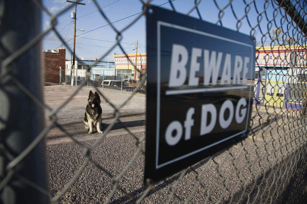 Liability Insurance for Dogs